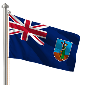 Hoist flag