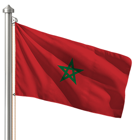 Hoist flag