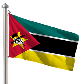 Hoist flag