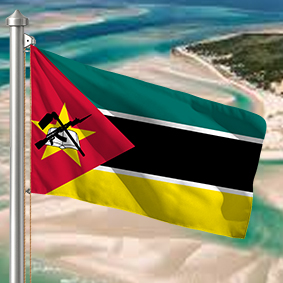 Hoist flag