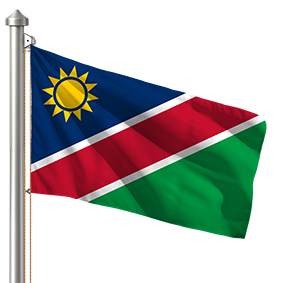 Hoist flag