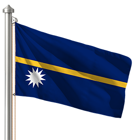 Hoist flag