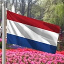 Hoist flag