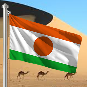 Hoist flag