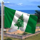 Hoist flag