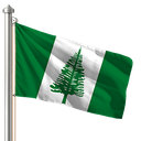 Hoist flag