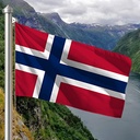 Hoist flag
