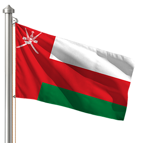 Hoist flag