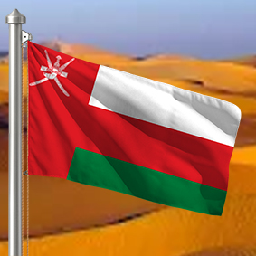 Hoist flag