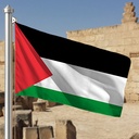 Hoist flag