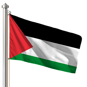 Hoist flag