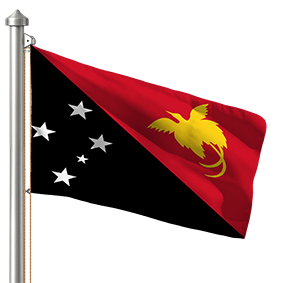Hoist flag