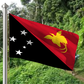 Hoist flag