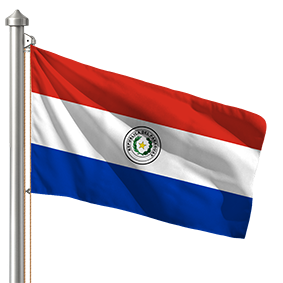 Hoist flag