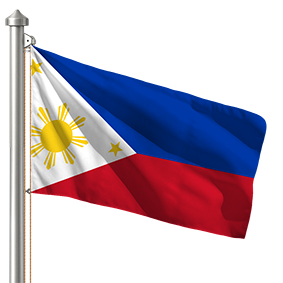 Hoist flag