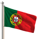Hoist flag