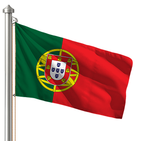 Hoist flag