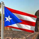 Hoist flag