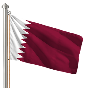Hoist flag