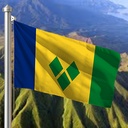 Hoist flag