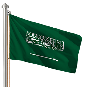 Hoist flag