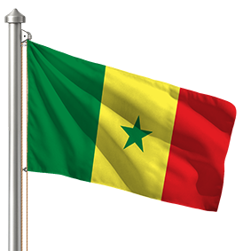 Hoist flag