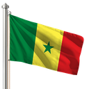 Hoist flag