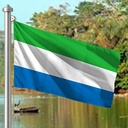Hoist flag