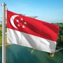 Hoist flag