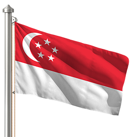 Hoist flag