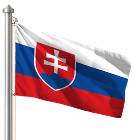 Hoist flag