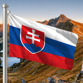 Hoist flag