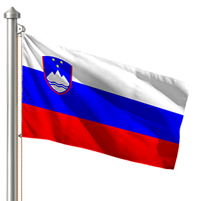 Hoist flag