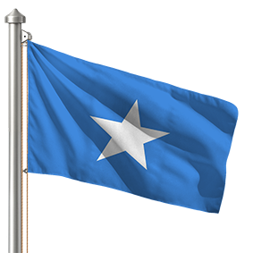 Hoist flag