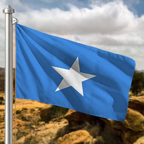Hoist flag