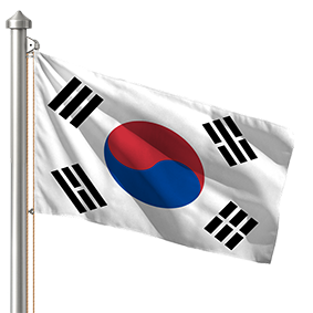 Hoist flag