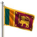 Hoist flag