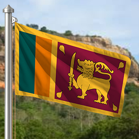 Hoist flag