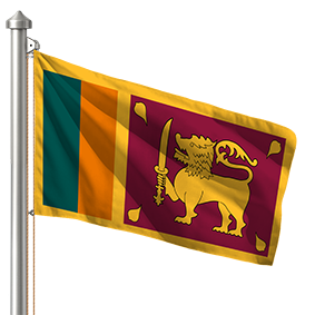 Hoist flag