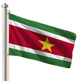 Hoist flag