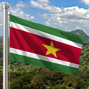 Hoist flag