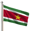 Hoist flag