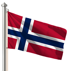 Hoist flag