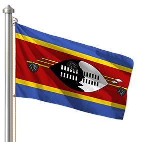 Hoist flag