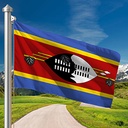 Hoist flag