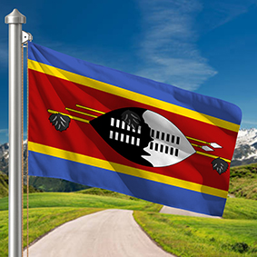 Hoist flag