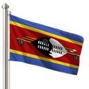 Hoist flag