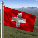 Hoist flag