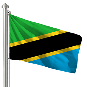 Hoist flag