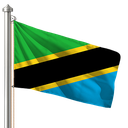 Hoist flag